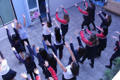 IMG_0316__Copiar_-8333