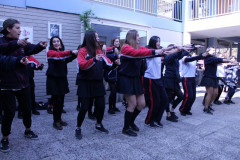 IMG_0327__Copiar_-8335