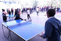 IMG_0344__Copiar_-8338