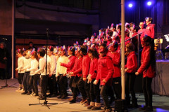 IMG_2692__Copiar_-8473