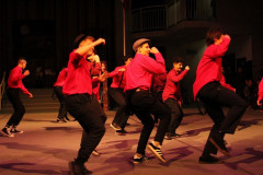 IMG_2804__Copiar_-8497