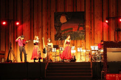 IMG_2822__Copiar_-8507