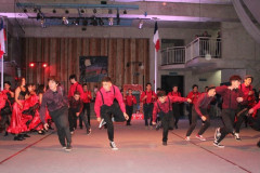 IMG_2848__Copiar_-8515