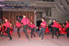 IMG_2849__Copiar_-8516