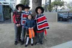 IMG_4233__Copiar_-8646