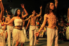 IMG_4519__Copiar_-8741