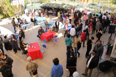 IMG_4627__Copiar_-8798