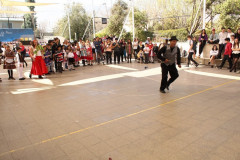 IMG_4633__Copiar_-8800