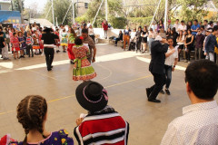 IMG_4637__Copiar_-8801
