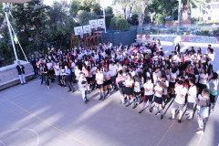 IMG_9274__Copiar_-8146