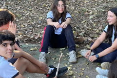 26