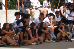 44